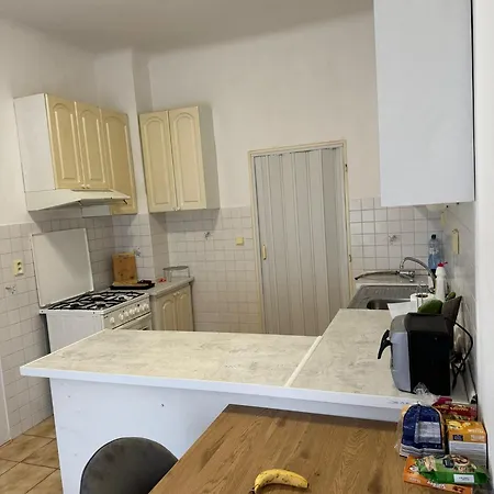 No 13 House Raca Проживание в семье