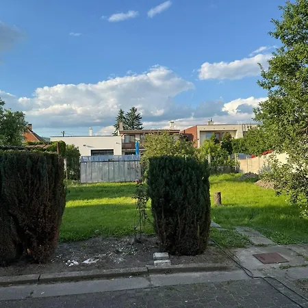 No 13 House Raca Проживание в семье *